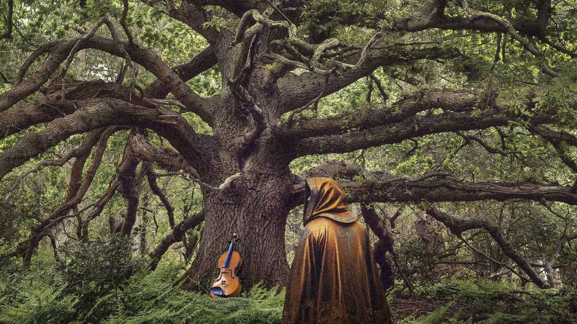 The Ancient Oak of Baldor