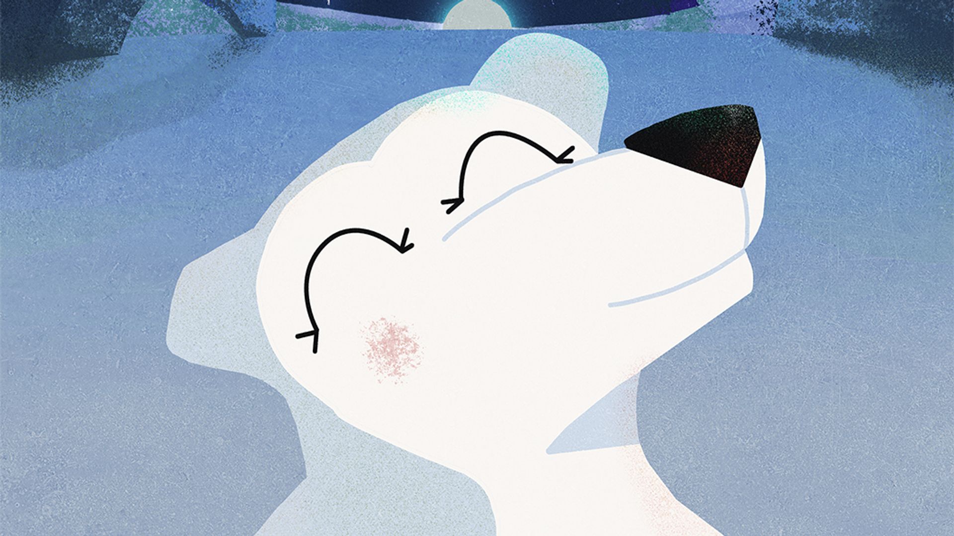 Little Bear and the Christmas Lights