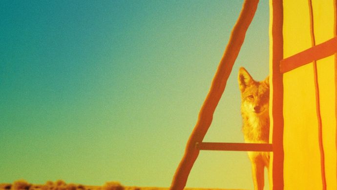 A fox peeks from behind a bright yellow, wavy-sided structure in a sunlit desert landscape, with sandy ground, scattered shrubs and a clear blue sky creating a striking, surreal scene.