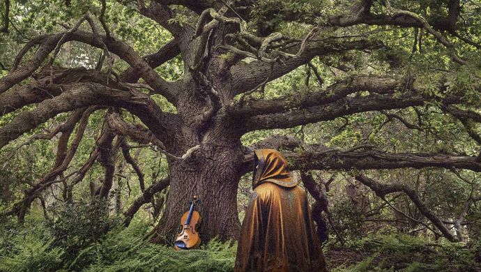 The Ancient Oak of Baldor